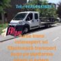 Iurea Trans Interexpert S.r.l.