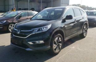 Poza Crv 1