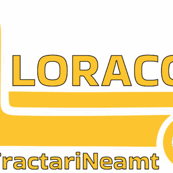 Loracost logo2