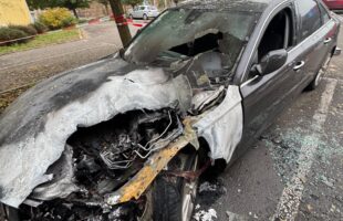 IMG 20251113 WA0007 1