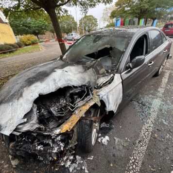 IMG 20251113 WA0007 1