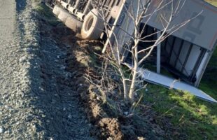 WhatsApp Image 2025 11 21 at 12.23.32 b1e676df 1