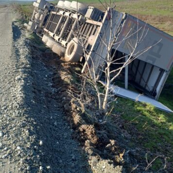 WhatsApp Image 2025 11 21 at 12.23.32 b1e676df 1