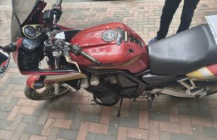 scaled 1000071991 1
